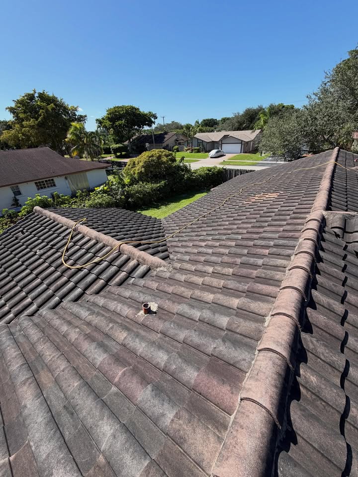 Roof before cleaning